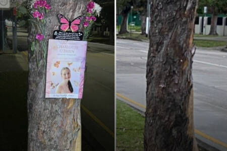 ‘Heartless’ – School removes memorial for 12-year-old suicide victim