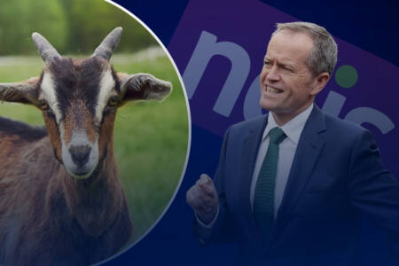 ‘No more goats’ – What’s now banned from the NDIS?