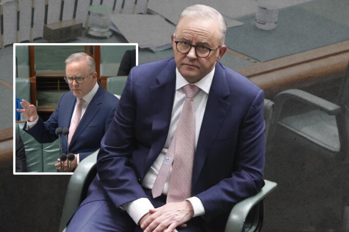 Article image for ‘Sorry’ – Anthony Albanese apologises over disability insult