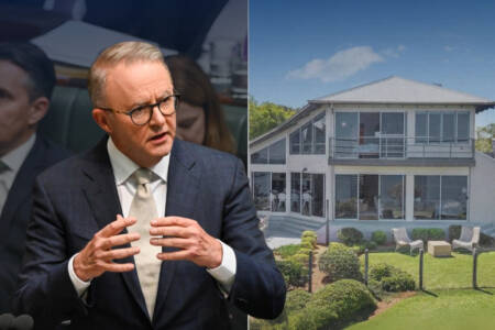 ‘F*cking terrible’ – Labor MPs blast Albo over purchase of $4.3m house