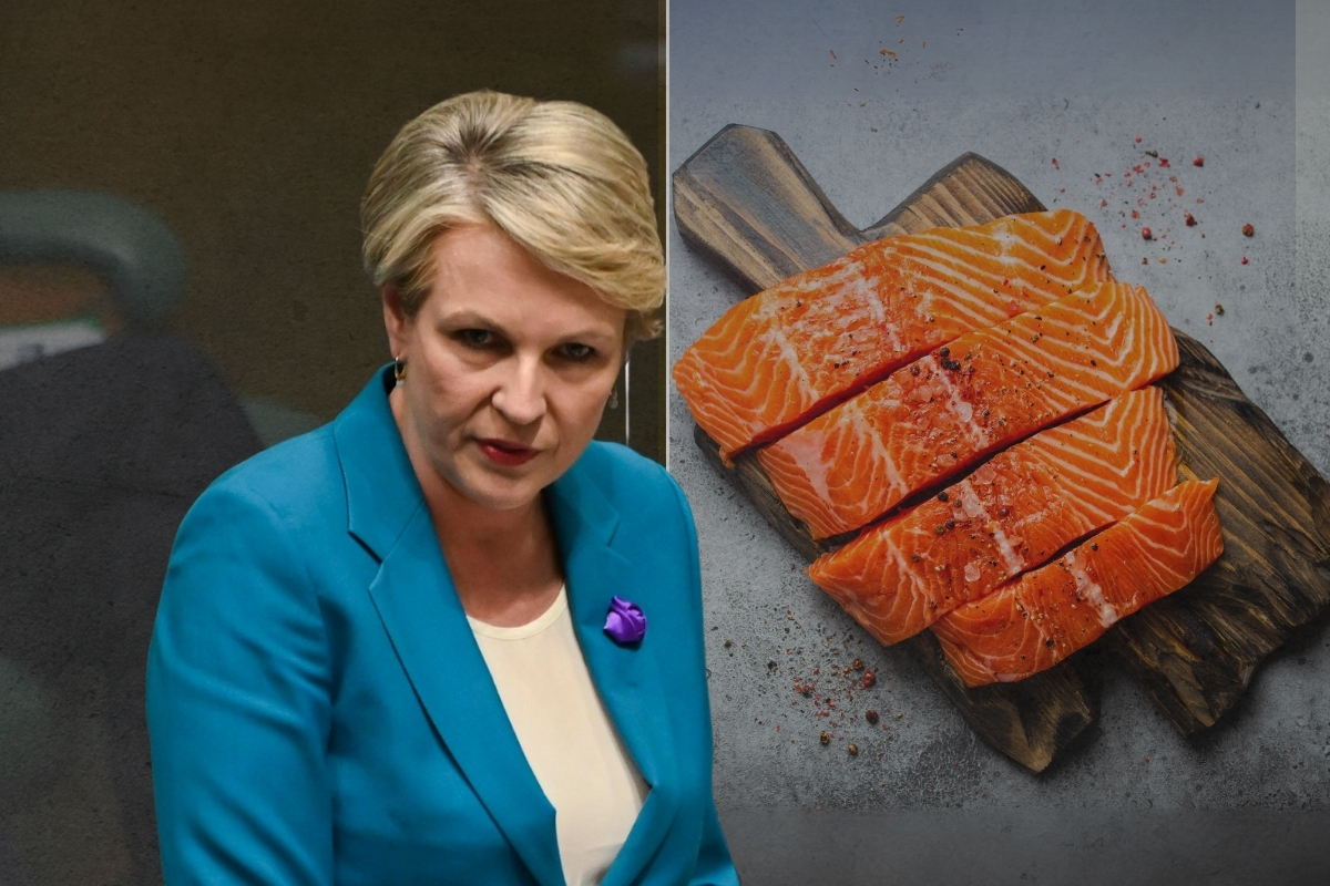 Article image for ‘Tanya’s next target’ – Salmon industry fears shutdown