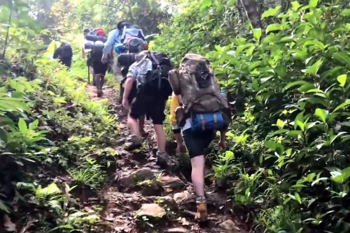 Article image for ‘Closed indefinitely’ – Aussies forced to cancel trips to Kokoda Track