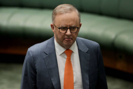 Shadow Home Affairs minister criticises Albo over Tourette’s comment and more