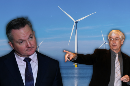 ‘Completely delusional’ – Dick Smith slams Chris Bowen AGAIN over renewable energy claims