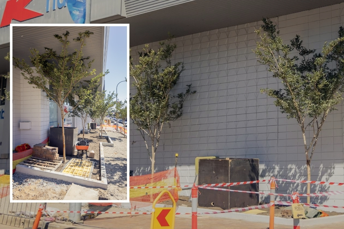 Article image for ‘Illogical’ – Hawkesbury City Council plants trees under roof