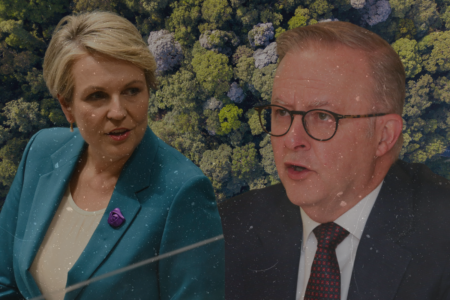 ‘I’m disappointed’ – Environment Minister reacts to Albanese ditching environmental agency