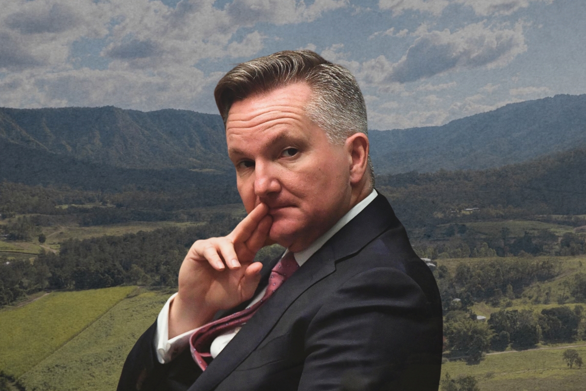 Article image for ‘Nail in the coffin’ – Chris Bowen’s energy plan suffers another setback