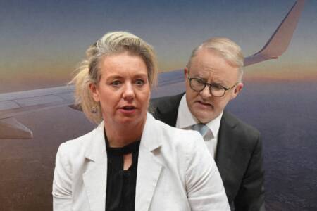 ‘Worse than Albo’ – Bridget McKenzie busted over flight upgrades