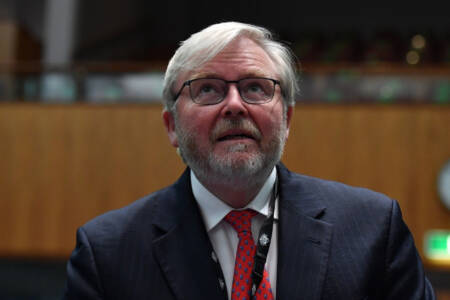 ‘Send him home’ – Top economist wants Kevin Rudd out of Washington