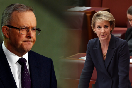 ‘Ball is in the Prime Minister’s court’ – Michaelia Cash takes Albo to task over latest immigration detainee bungle