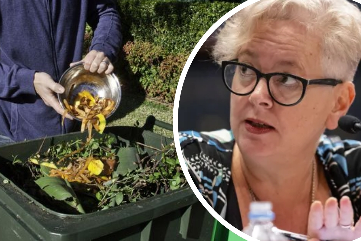 Article image for ‘Really concerned’ – NSW government to launch new compost bin initiative