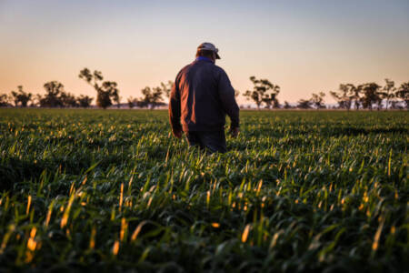 Mixed farmer sentiments heading into the new year