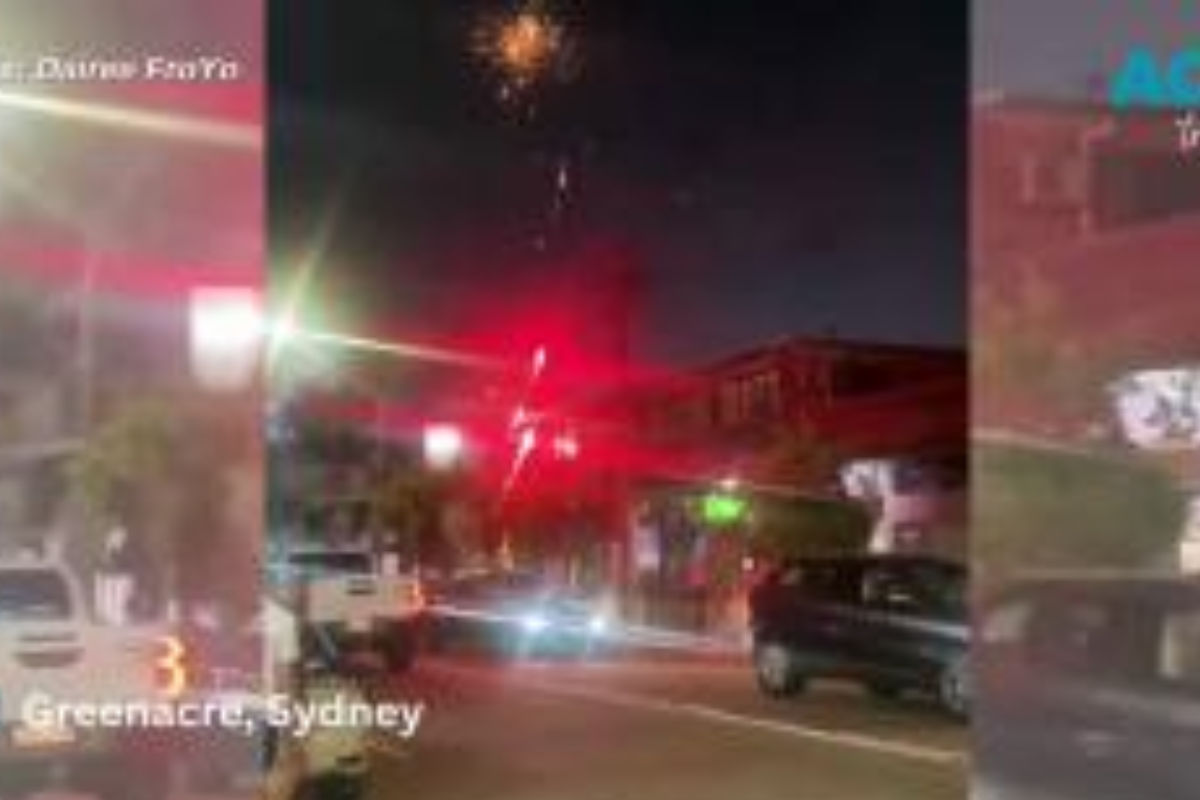 Article image for ‘Police need to be proactive’ – Mayor urges greater presence in Western Suburbs amid illegal fireworks surge