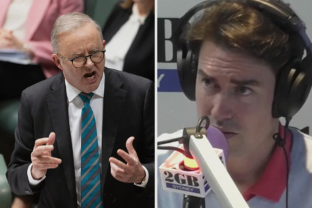 ‘The Prime Minister resembles a prize bull’: Why Michael believes Albo’s leadership falls short