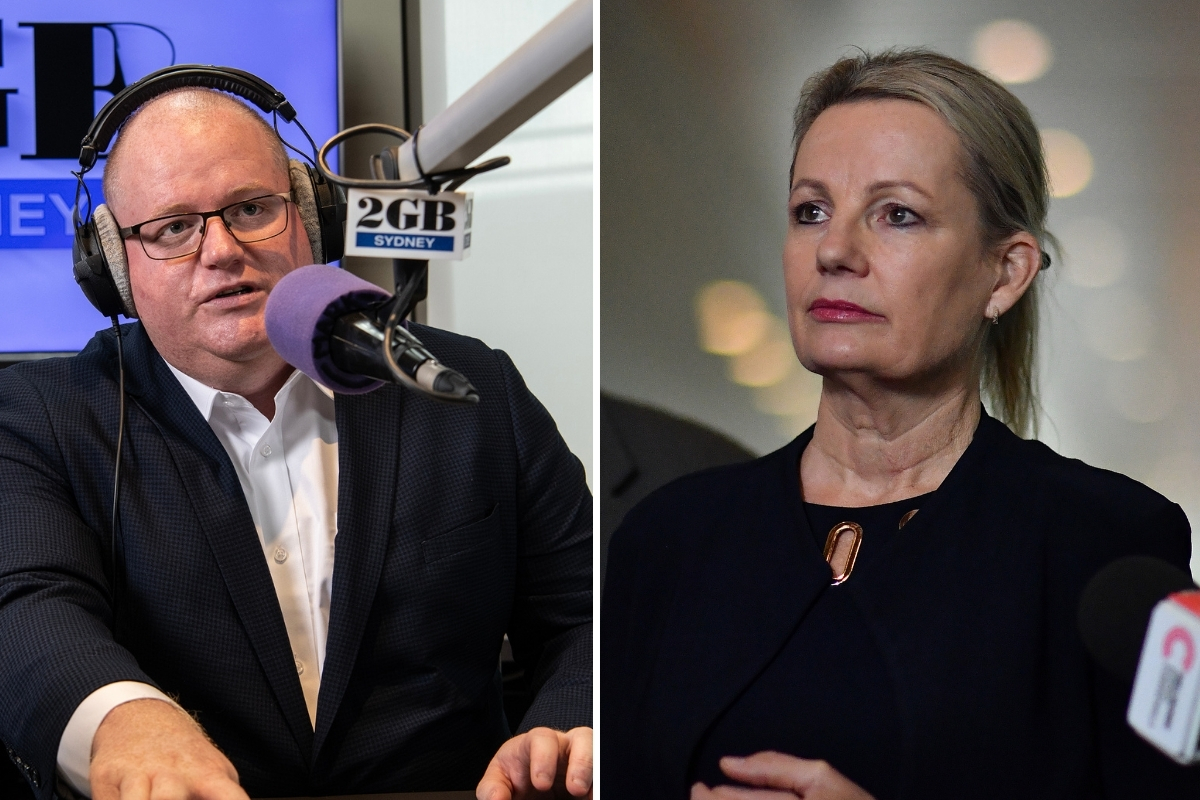 Article image for ‘Why not be transparent?’ – Levy challenges Sussan Ley on Coalition’s Nuclear details