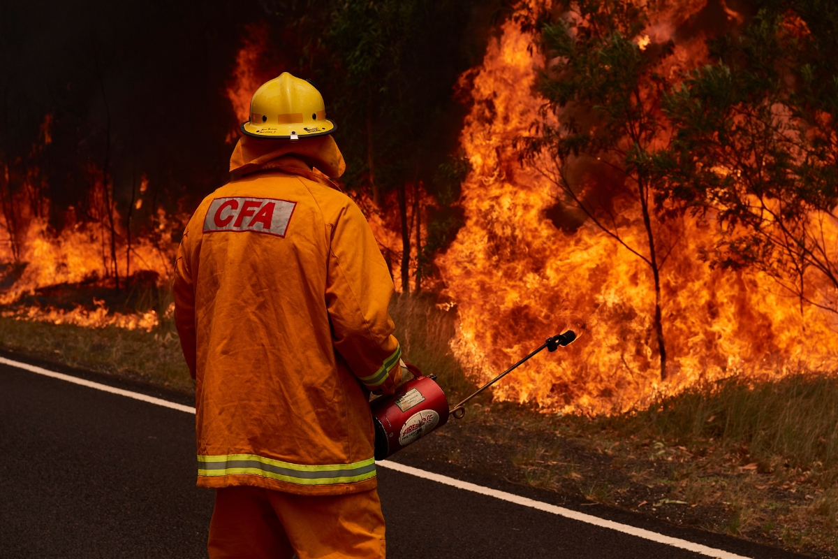 Article image for Black Summer bushfire victims question lack of progress on emergency hub