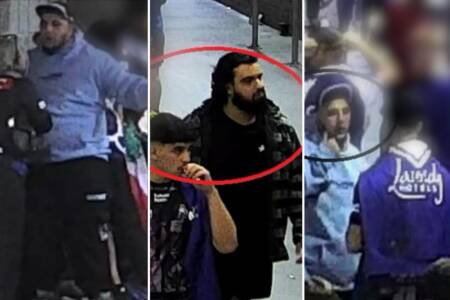 ‘Stadium violence’ – Police hunt eight spectators after Bulldogs-Knights game fight